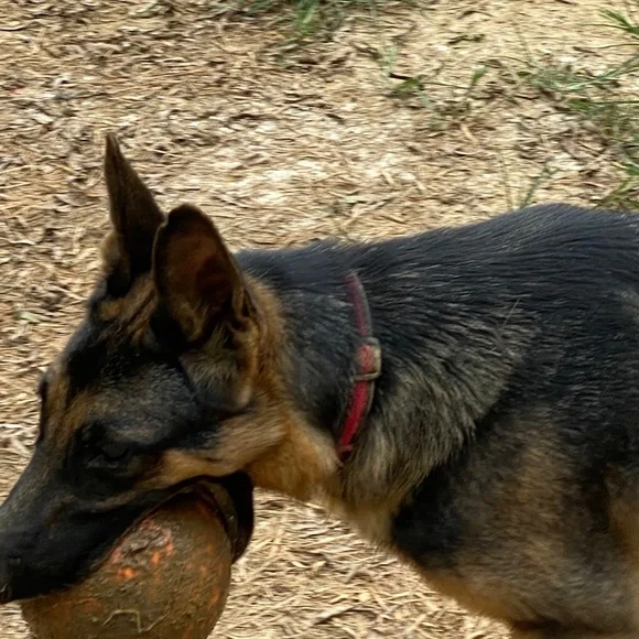 Unique - Picture 12 of 16